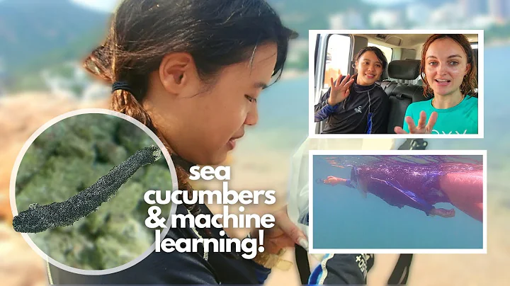 Using deep learning to search for sea cucumbers