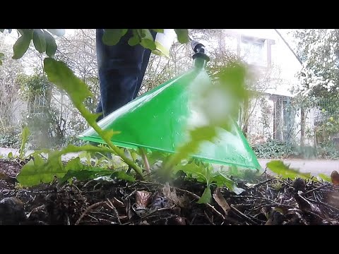 Vidéo: Le Roundup est-il un herbicide ?