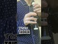 怠惰に『TAIDADA』をリコーダーで吹いてみた。