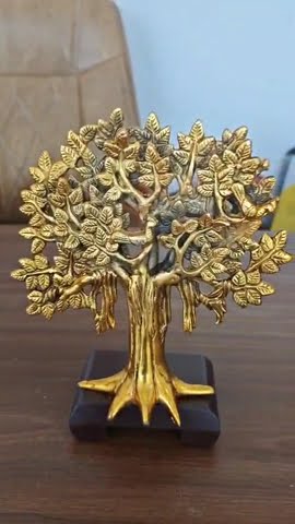 Kalpvriksha tree | Available on IndiaMART