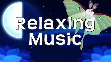 Beautiful Starlight Game Music