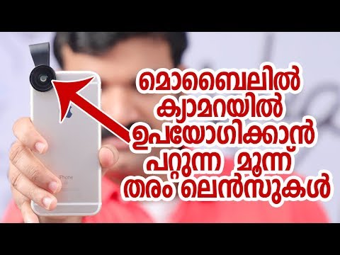 Dagala mushuk bilan sikiklari