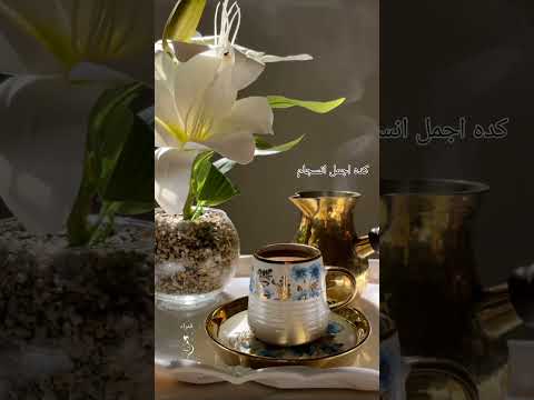 سيد مكاوي كده اجمل انسجام