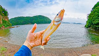 How to catch fish without using worms or lures