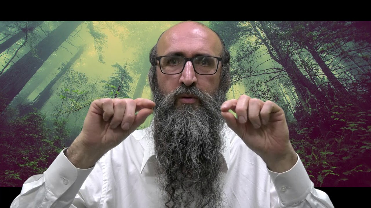 ON VA CHANGER LE MONDE 16 - les 288 Étincelles - Rav Itshak Peretz