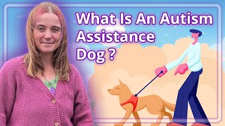 What Is An Autism Assistance Dog?