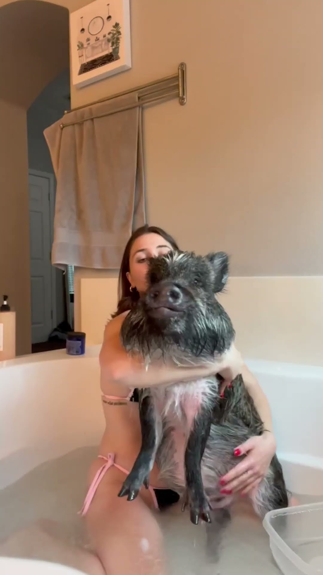 Pig’s Bath Time Is the Cutest Thing Ever | The Dodo