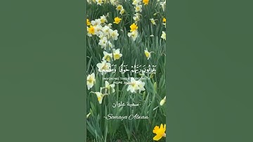 سورة السجدة الآية(16)||تَتَجَافَىٰ جُنُوبُهُمْ عَنِ الْمَضَاجِعِ||القارئ إسلام صبحي #قرآن