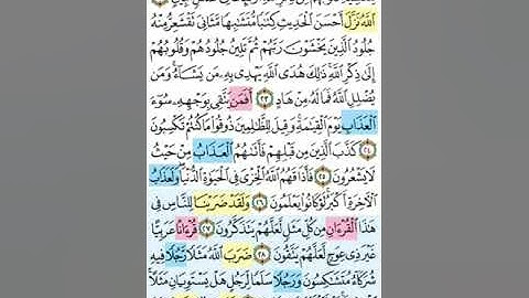 تيسير حفظ سورة الزمر بالتكرار الوجه الرابع الآيات(22-31)تكرار كل ايه3مرات مع الربط بين الآيات سعود ا