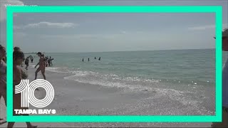 How bad is red tide? Scientists create index to quantify it