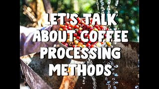 Let's Talk About Different Coffee Processing Methods
