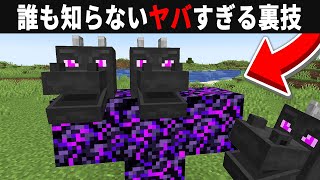 【海外検証】謎が多すぎるマインクラフト10選【ゆっくり実況】【マイクラ】