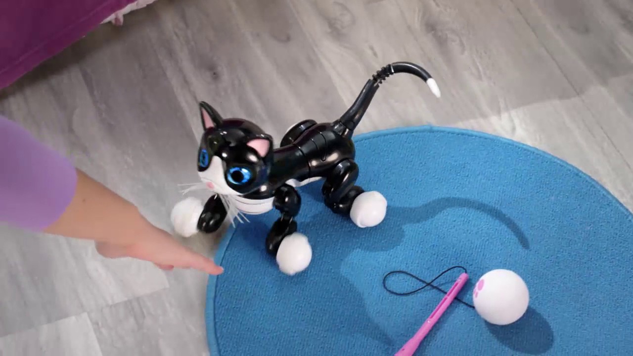 Zoomer Kitty mieliausia interaktyvi katytė YouTube