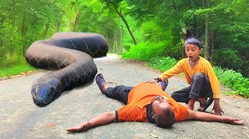 Anaconda Snake Attack In Real Life | Part 12 | Snakes