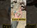 Hunting for crystals deep in the Sierra Nevada Mountains