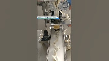 Imitation handmade dumpling machine dumpling maker Samosa maker wonton maker