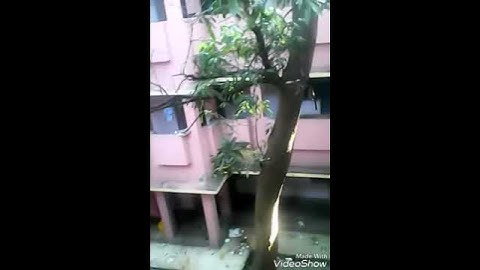 Bhagirathi 3rd boys hostel