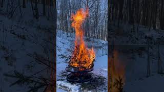 Burning the Christmas Tree, big flames!