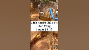 Cách người Châu Phi đào Vàng 1 ngày / 1tr5. #shorts