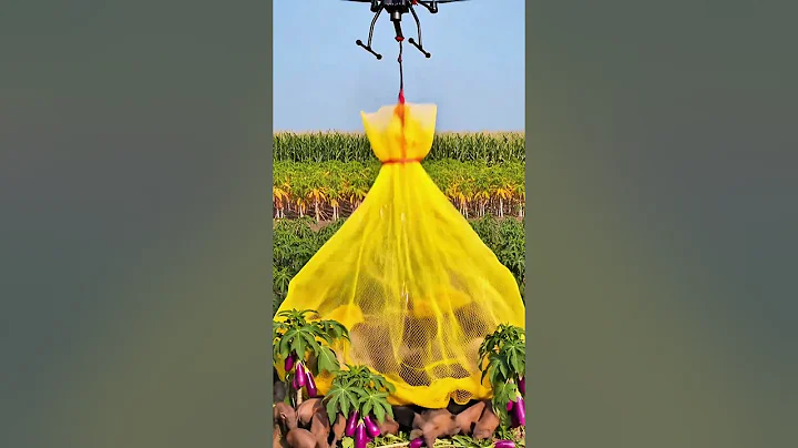 Farmers Use Advanced Drone to Capture Wild Boars in the Field!