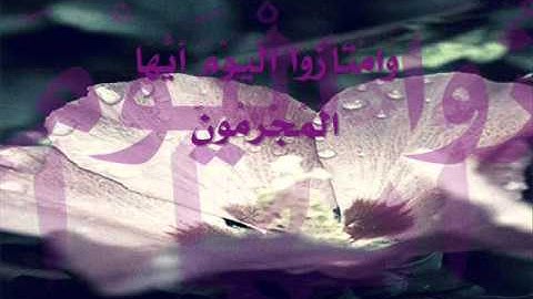 سورة يس للقارئ يوسف ابكر