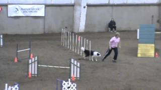 20 Sasha Obleness Sun T2B Mcdf 15