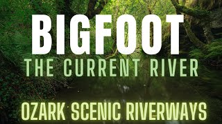 BIGFOOT ON 'THE CURRENT RIVER' | (THEY WERE HUNTING) OZARK SCENIC RIVERWAYS [CAVE SPRING, MO]