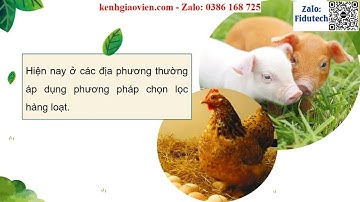 Giáo án powerpoint Bài: Ôn tập chương 2 | GA điện tử Công nghệ chăn nuôi 11 KNTT