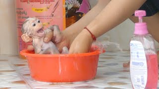 Baby Monkey Alan Shower And Scented Soaps