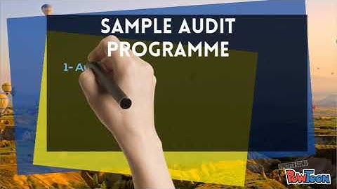 Audit Programme