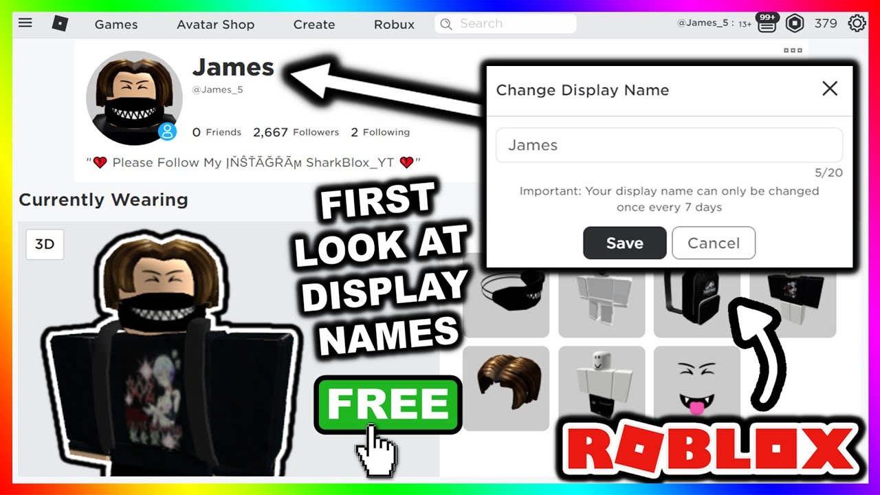 Bloxy News on X: 👀 Where Display Names Appear (Website) Display Names on  the main Roblox website/app will appear on the Home page, Profile page,  Group page, player search, etc. Display Names