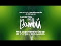 Descubre la transformación de almas en SECRETOS DEL BAMBÚ: Experiencia ÚNICA DE ENERGÍA Y RENOVACIÓN