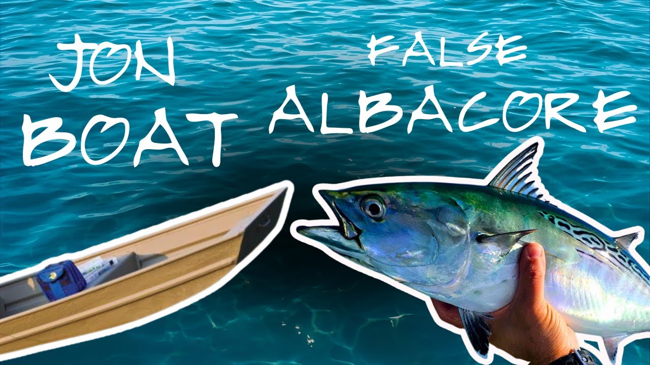False Albacore on Jon Boat
