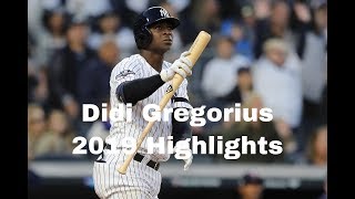 Didi Gregorius 2019 Highlights