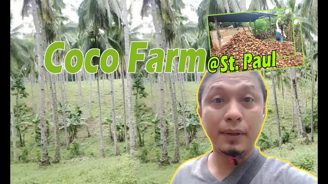 Coco Farm landGala gala with FriendsAt St. Pablopart 2/2 YouTube