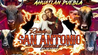 IMPRECIONANTE!! Rancho San Antonio, Los Toros Sagrados, En Guadalupe Hidalgo, Ahuatlan Puebla 2026!!