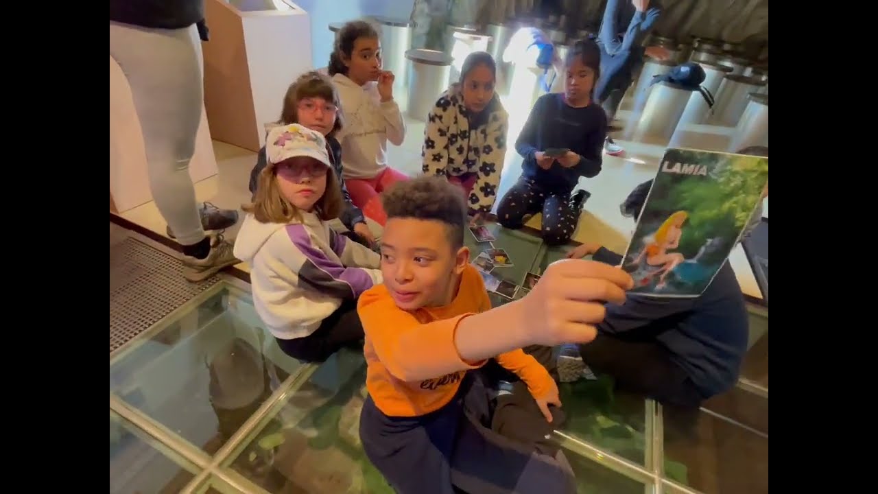 "Gorbeiara txangoa", 3. maila