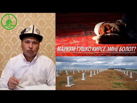 Video: Өлгөндү качан колдонуу керек?