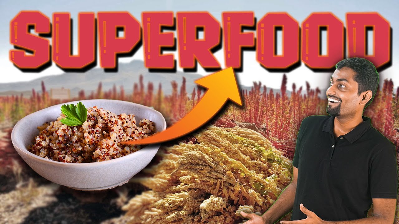 From Soil to Success: How Quinoa is Changing the Economic Landscape