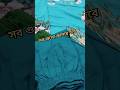 রেডিমেড সেলোয়ার গুলোর সব কালার পেয়ে জাচ্ছেন 👀#youtubeshorts #trending #shorts #viral