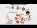 Neanderthal and Denisovan Genomes/Human and Ape Stem Cells