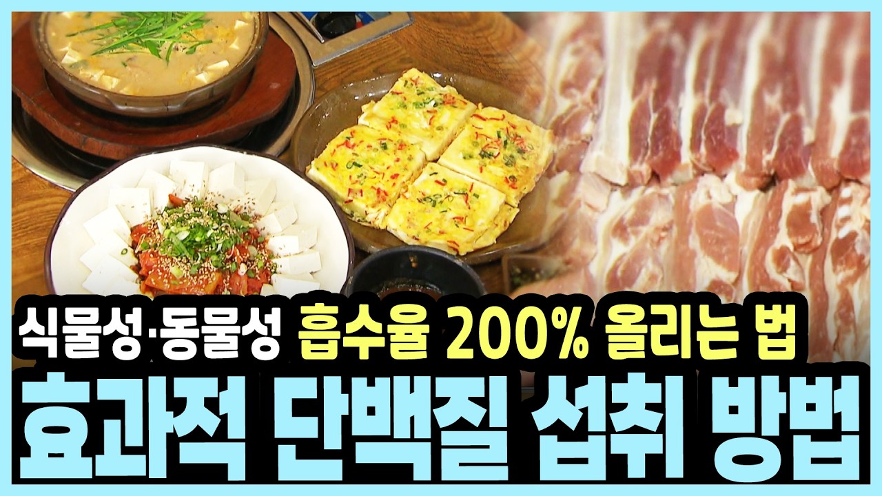 식물성 단백질만 드시나요? 근육과 면역력을 위해 '동물성'도 꼭 먹어야 하는 이유 I KBS 101세의 프러포즈 20180121 방송
