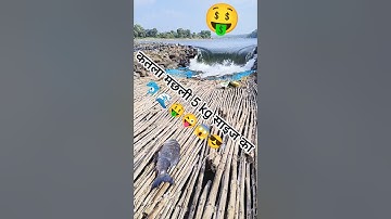 Underwater Fishing |Best Fishing Video #shorts #fishing#machhali