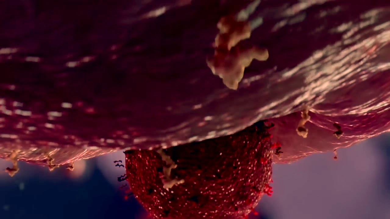 MI Theme | Violin Cover | Instrumental music | Partha Pratim Roy