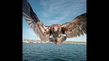 Matt Thomas - Straight Out of a Coma