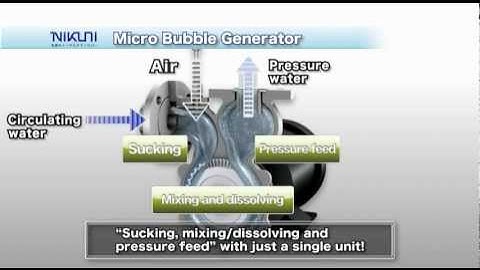 DAFi｜NIKUNI Co.,Ltd.