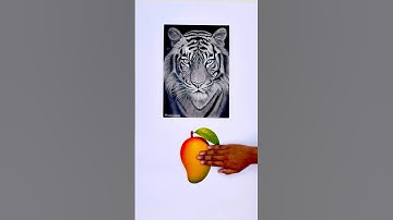 How to learn Portrait 😍#noorjahanartist #artclass #painting #art #drawing #sketch #artist