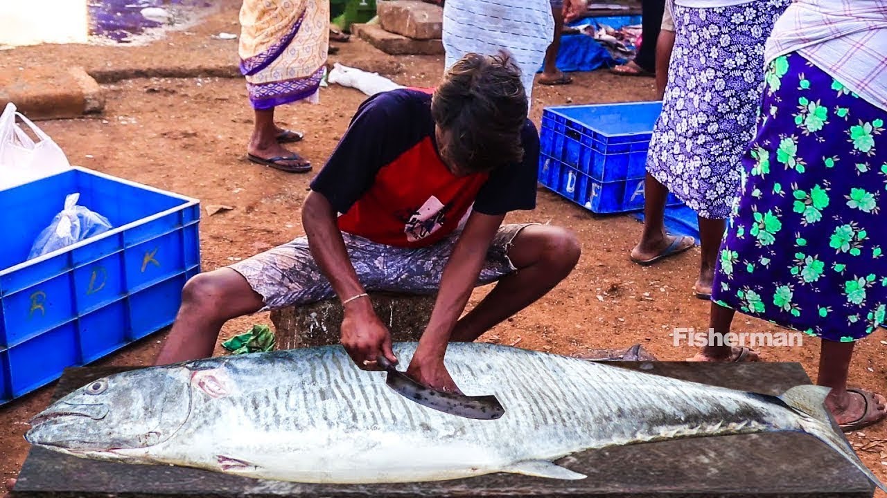 Live Skinless and Boneless Fish Cutting Skills | 2021 Fish Market | STREET FOOD