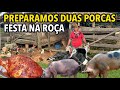 Dia de assar 2 porcas na roa do vardinho