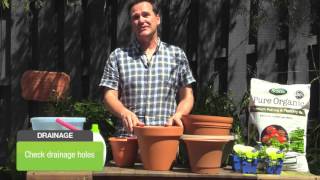 Grow Perfect Potted Herbs